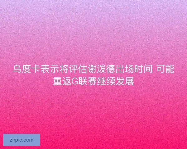 乌度卡表示将评估谢泼德出场时间 可能重返G联赛继续发展