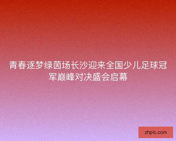 青春逐梦绿茵场长沙迎来全国少儿足球冠军巅峰对决盛会启幕